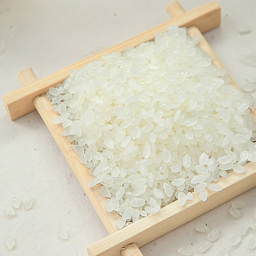 2025年新米 东北真空小包装大米5kg 盘锦蟹田生态珍珠大米10斤装 - 图0