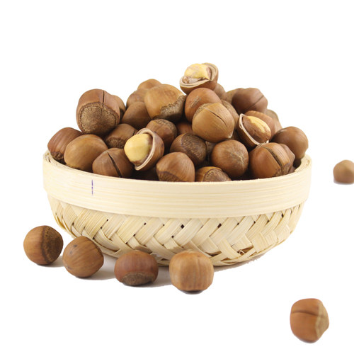 【小孟】 2025年水仁带绿皮新鲜榛子东北特产铁岭小东北榛子坚果 - 图2