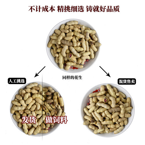 小孟  红皮花生2025新货米衣炒货熟生花生带壳新鲜晒干生的原味 - 图1