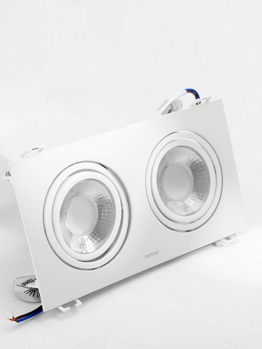 飞利浦双头射灯led嵌入式双孔筒灯斗胆灯格栅灯家用长方形天花灯 - 图2