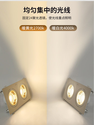 飞利浦双头射灯led嵌入式双孔筒灯斗胆灯格栅灯家用长方形天花灯 - 图1