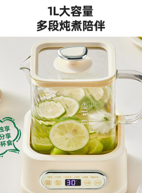 巴森小方炖养生壶炖煮一体多功能