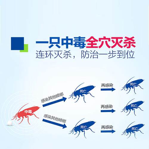 老爸评测除蟑螂药安全家用大小通杀德国拜耳拜士杀蟑螂专用胶饵 - 图2