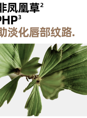 毕生之研淡纹修护润唇膏2.0补水