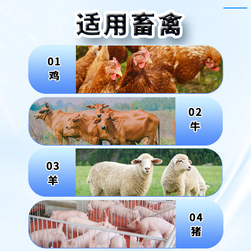 千方动保恩诺沙星兽用可溶性粉小猪鸡药鸭鹅鸽拉稀呼吸道正品兽药,淘宝优惠券,粉丝福利购,淘宝优惠卷