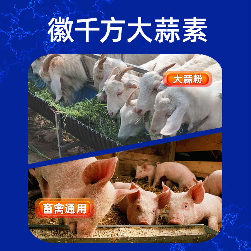 千方动保大蒜素粉兽用诱食剂鸡鸭鹅牛羊猪水产用益生素正品添加剂 - 图0