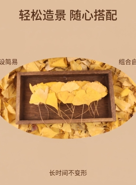 银杏叶铺设外景步道场地布景手工