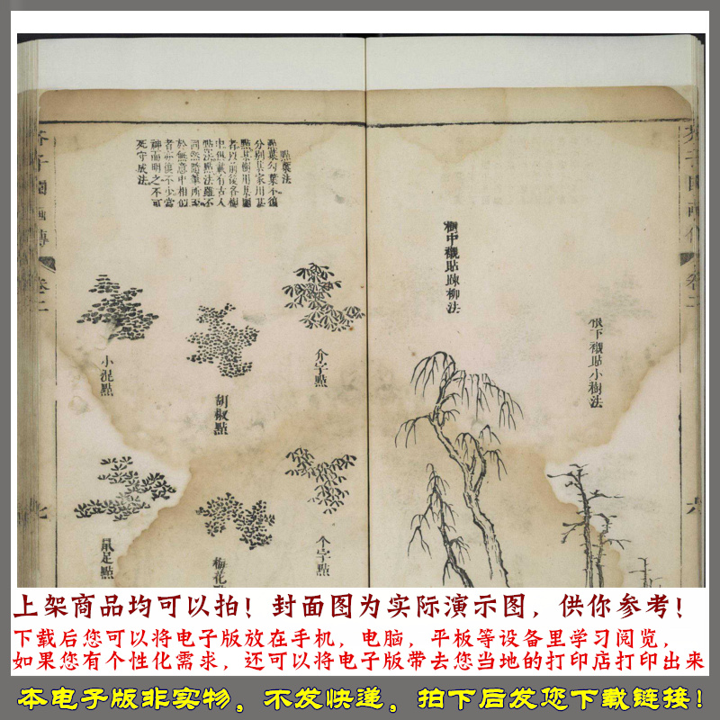 芥子园画传.初集.5卷.王概等编.清康熙年间彩色套印本 - 图3