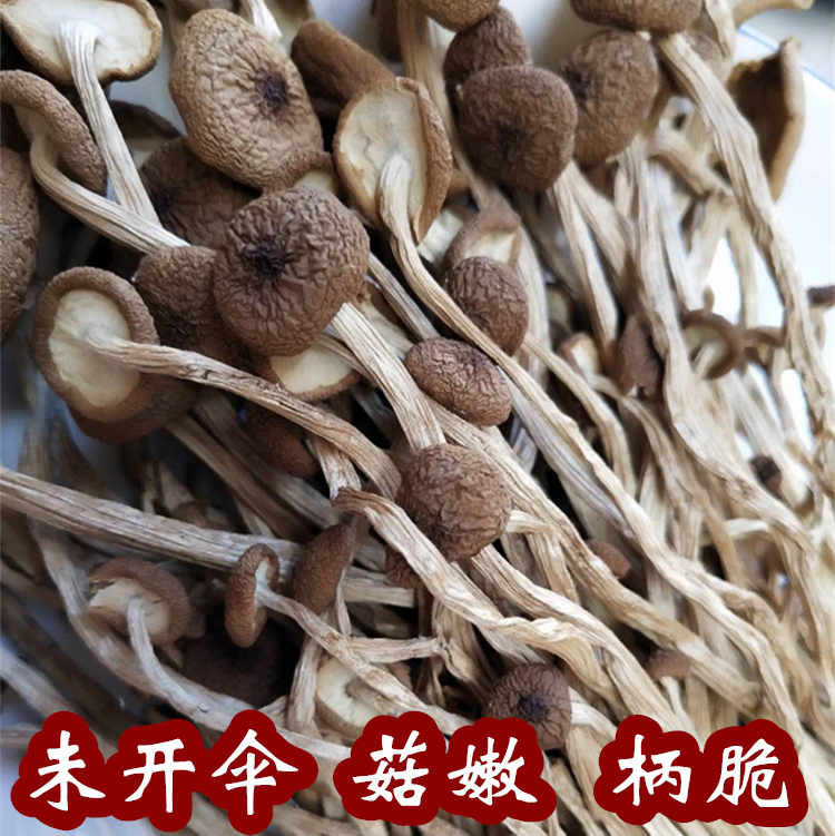 茶树菇干货500g古田不开伞未开伞天然无硫农家土特产煲汤食材菌菇 - 图1