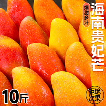 Hainan Guifeis mango fresh 10 catty fruits When the season is full box tree cooked red gold jade green great pepper raw