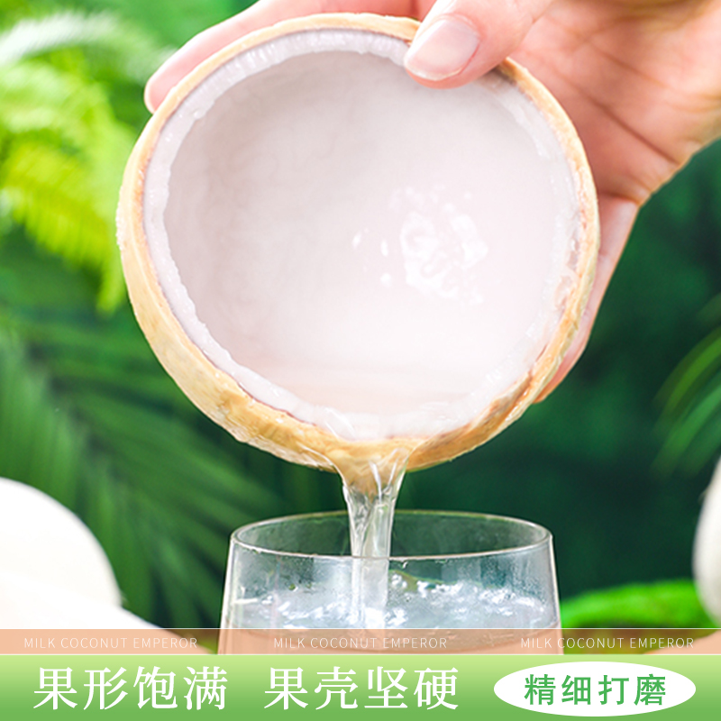 海南牛奶椰皇9个装新鲜椰青当季煲鸡汤老椰子肉椰宝椰汁孕妇整箱3