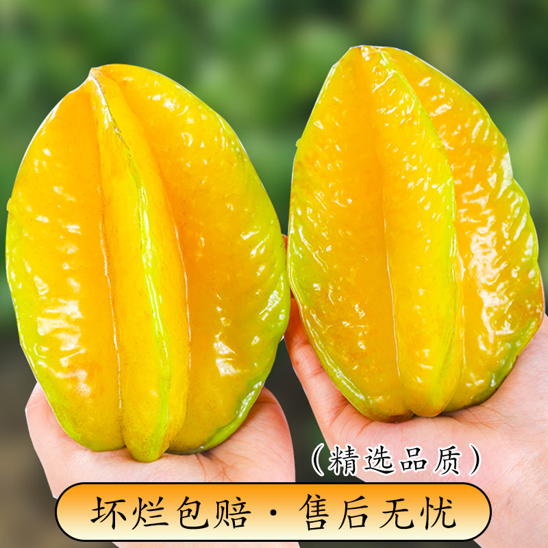 福建漳州树上熟甜杨桃5新鲜时令水果脆甜肉厚五角星阳桃顺丰可选,淘宝优惠券,粉丝福利购,淘宝优惠卷