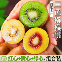 Three-color kiwi red yellow green heart 30 combined clothing should be in season fruit Big Fruit Clay Macaque Peach