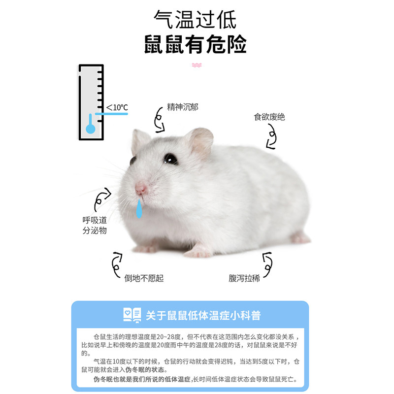 仓鼠棉花过冬脱脂棉被木屑保暖垫料冬季冬天棉窝防咬加厚小窝用品,淘宝优惠券,粉丝福利购,淘宝优惠卷