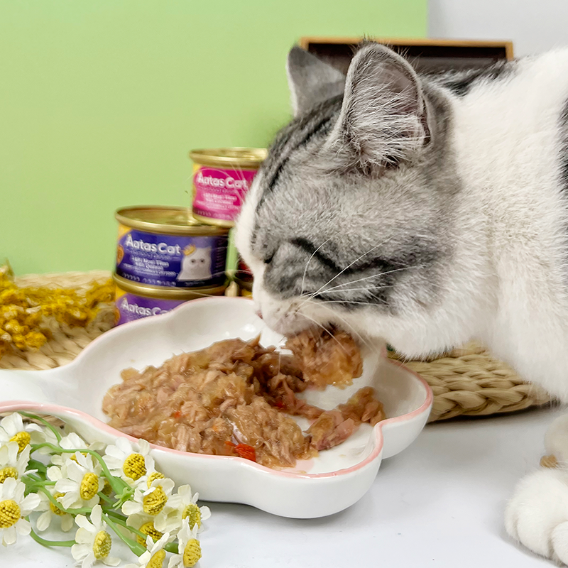 泰国进口AatasCat爱达思钻石晚宴金枪鱼主食猫罐头啫喱罐头80g,淘宝优惠券,粉丝福利购,淘宝优惠卷