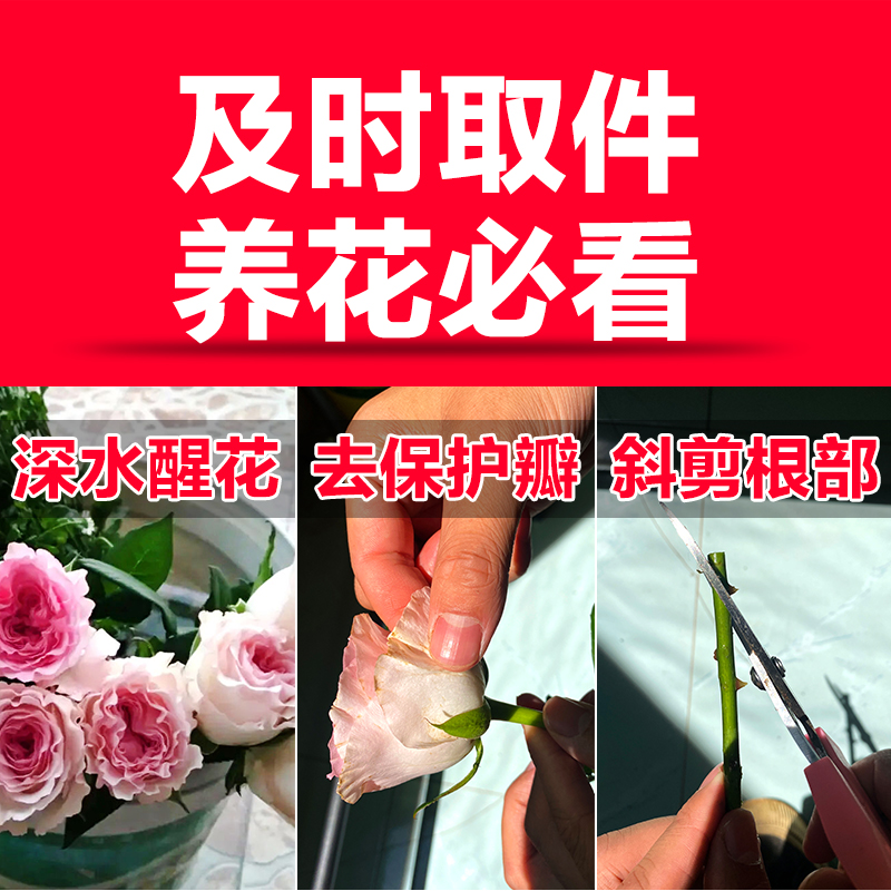 红玫瑰花鲜花斗南云南直发多头真花花束艾莎香槟卡布奇诺插花 - 图1