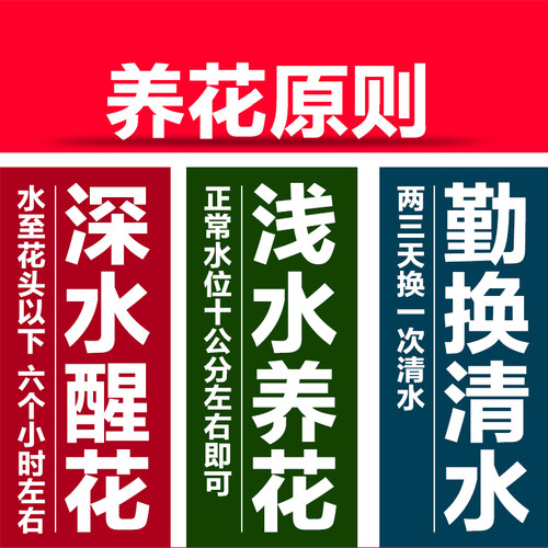玫瑰花香水百合花鲜花混搭花束向日葵康乃馨真花插花云南基地直发 - 图1