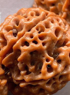 金诗文玩尼泊尔金刚菩