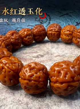 金诗小金刚菩提霸王龙精品爆肉