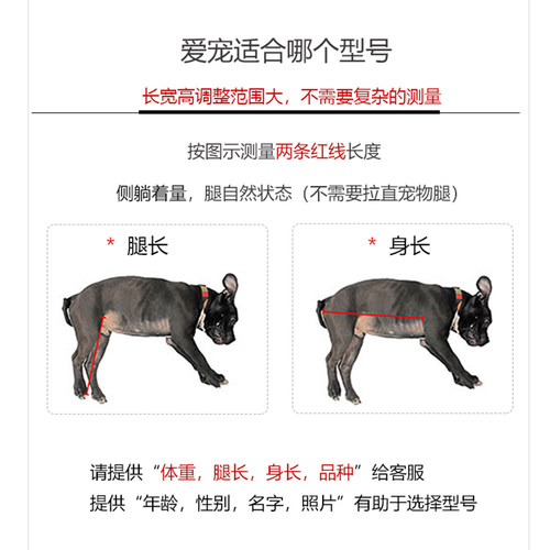 宠物轮椅车狗轮椅残疾断腿骨折四肢支撑代步车折叠康复辅助小型犬 - 图1