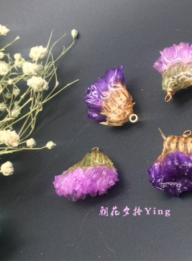 滴胶树脂勿忘我真花耳环饰品