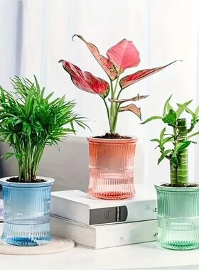 Lazy Hydroponic Flower Pot Automatic Water-Absorbing Flowerp