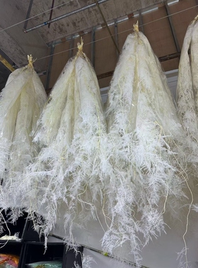 永生文竹干花婚庆软装陈设花艺插花线条垂坠型百搭款式厂家直销