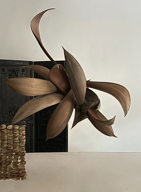 可可叶干花样板房工作室装饰品画画拍摄道具板房桌面托盘背摆件