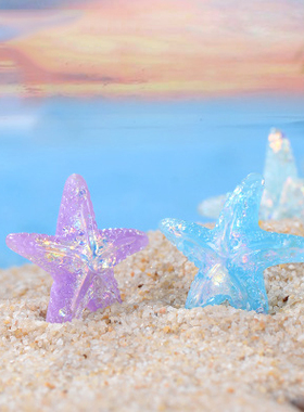 微景观树脂工艺品海星五角星沙滩水族造景配件多肉植物盆景装饰品