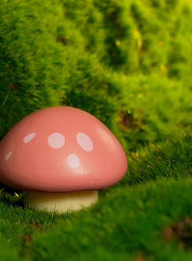 苔藓微景观创意仿真彩色大蘑菇园艺造景 DIY装饰品迷你树脂小摆件
