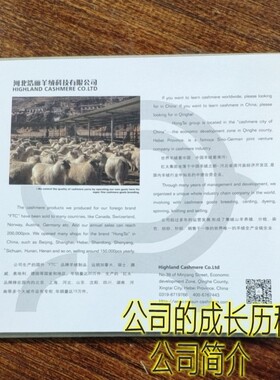 山羊绒正品红太羊绒线精纺纱线