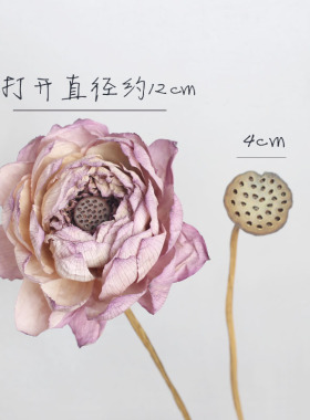 干花荷花莲花干莲蓬桃女郎工作室