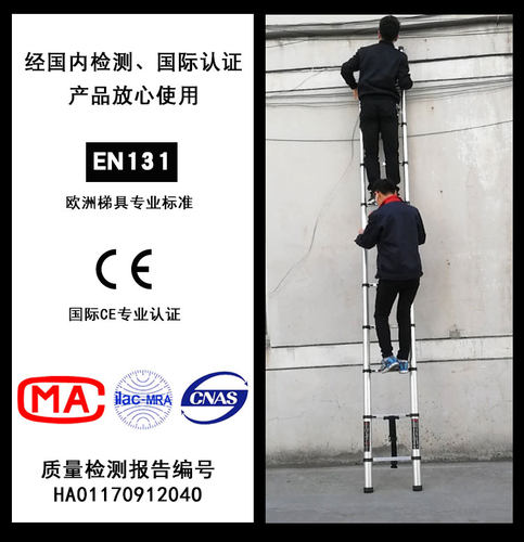 伸缩梯直梯一字楼梯台阶电工室外阁楼升降爬梯云梯多功能加粗踏板 - 图1