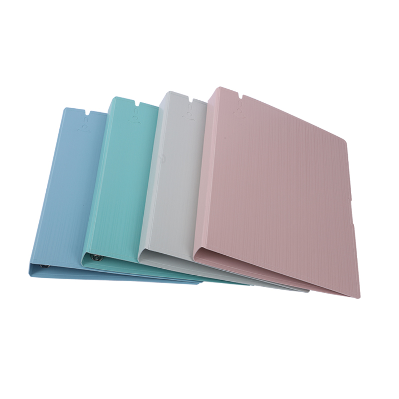 活页替芯2孔3孔4孔文件夹加厚PP活页6张10张23张分类页11孔袋套装 - 图3