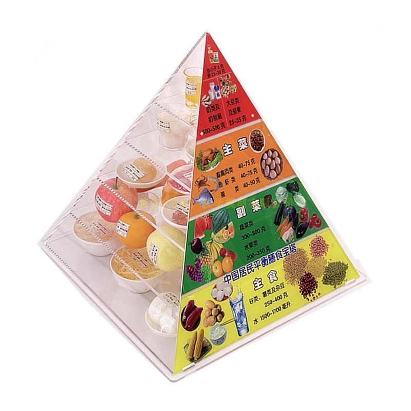 2022仿真食品中国居民均衡营C养膳食宝塔模型新版营养食物模型 - 图3