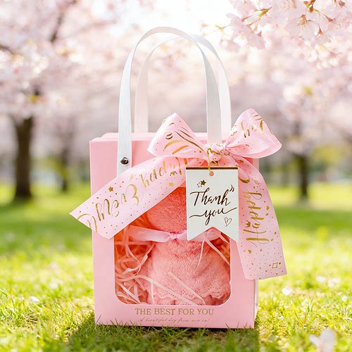 伴手礼手提礼品袋子高级感生日透明口红小号礼物包装喜糖盒空盒 - 图2