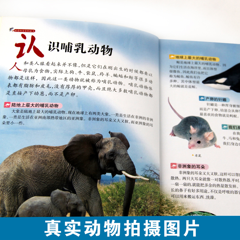 贝悠美图书专营店探索科学百科丛书全套8册未解之谜中小学生十万个为什么科普书籍青少年版百科全书7-10-12-15岁图书宇宙恐龙动物海底世界海洋揭秘2
