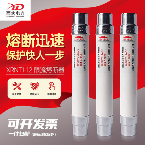 西大电力XRNT1-12/10-16-20-40A高压高分段能力限流熔断器SDLAJ - 图0