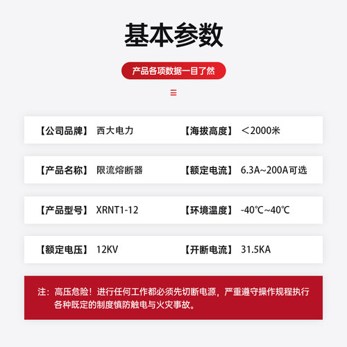 西大电力XRNT1-12/10-16-20-40A高压高分段能力限流熔断器SDLAJ - 图1