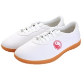 武士龙 Tai Chi Shoes Canvas обувь женская мягкая пленка для ленты