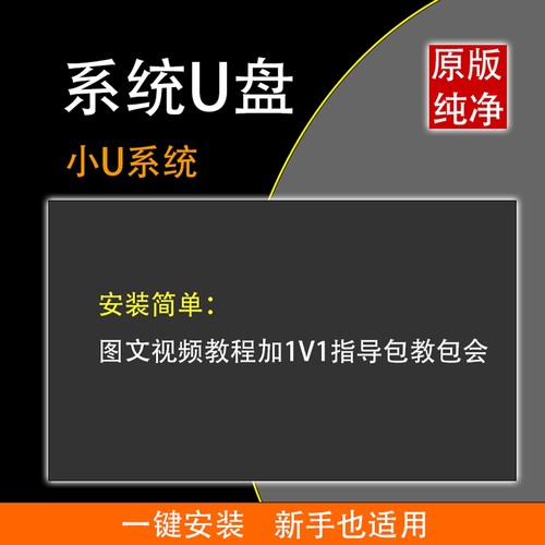 一键安装win10专业64位电脑重装系统u盘原版纯净windows11pe启动U - 图2