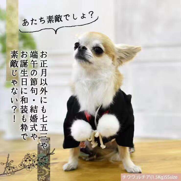 日本服饰和服推荐品牌 新人首单立减十元 21年6月 淘宝海外