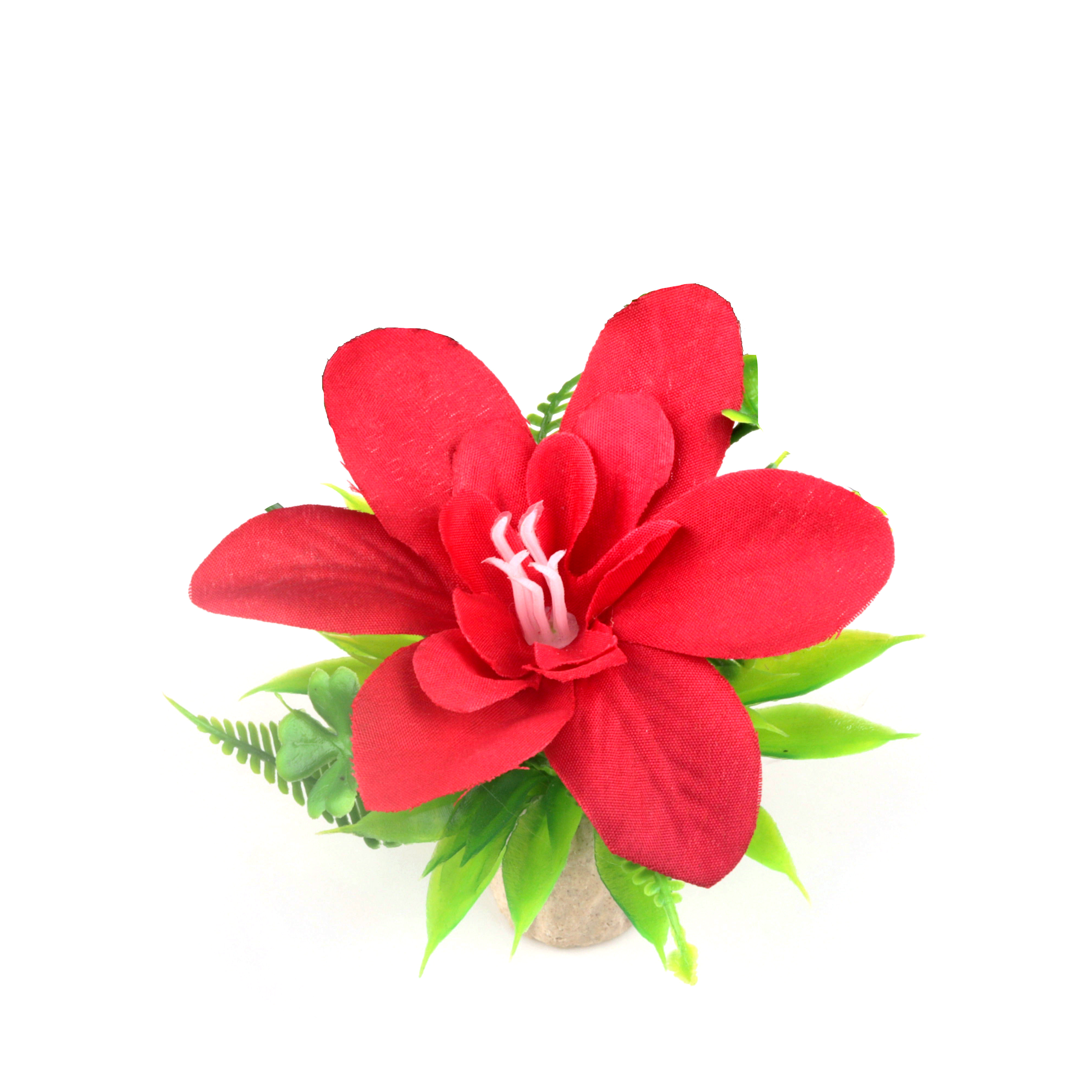 图5