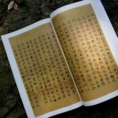 金刚经敦煌写本 中国碑帖集珍 精选历代名碑名帖原色精印原大呈现繁体释文临习要点 楷书毛笔书法字帖书法爱好者临摹鉴赏正版书籍 - 图1