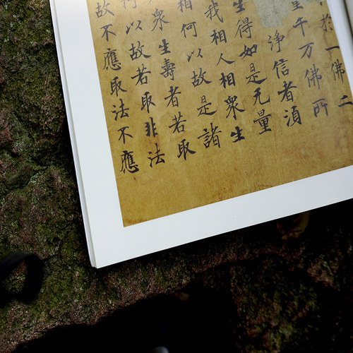 金刚经敦煌写本 中国碑帖集珍 精选历代名碑名帖原色精印原大呈现繁体释文临习要点 楷书毛笔书法字帖书法爱好者临摹鉴赏正版书籍 - 图3