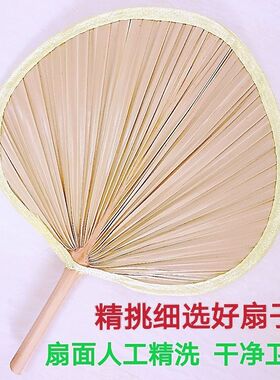 扇子蒲扇芭蕉扇老式葵扇