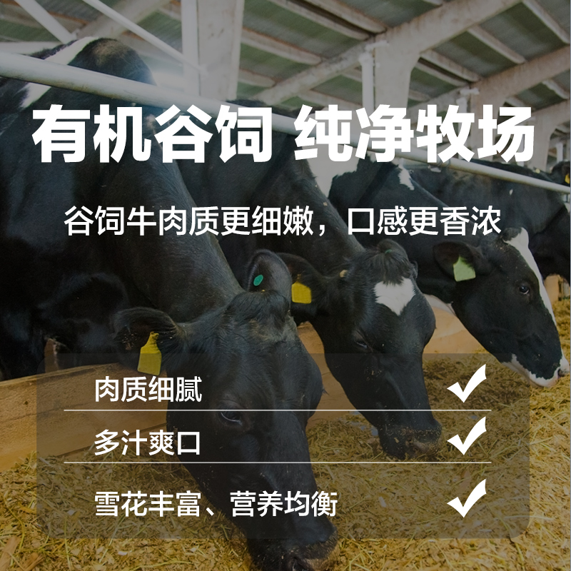 享鲜族旗舰店?享鲜族澳洲进口整原切牛排厚肉儿童菲力套餐新鲜家庭黑椒牛扒203
