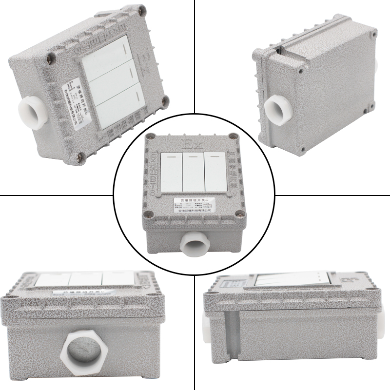 防爆开关防爆墙壁开关220V10A单开双开双控翘板开关20A380V暗装2C - 图1