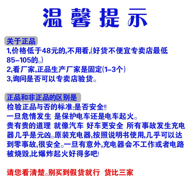 比德文电动车原装智能充电器48V12Ah60V20Ah3072V36V正品原厂锂电-图2