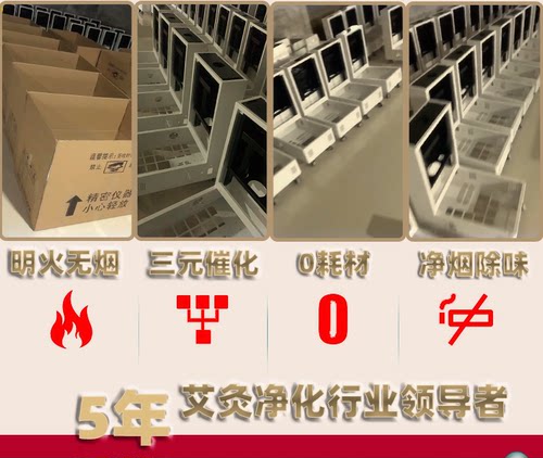 扶阳透灸仪器艾灸器具明火无烟熏蒸仪扶阳艾灸一体机家用透灸全身 - 图0